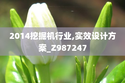 2014挖掘机行业,实效设计方案_Z987247