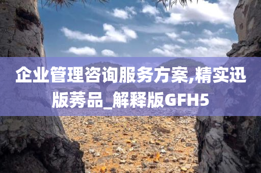 企业管理咨询服务方案,精实迅版莠品_解释版GFH5