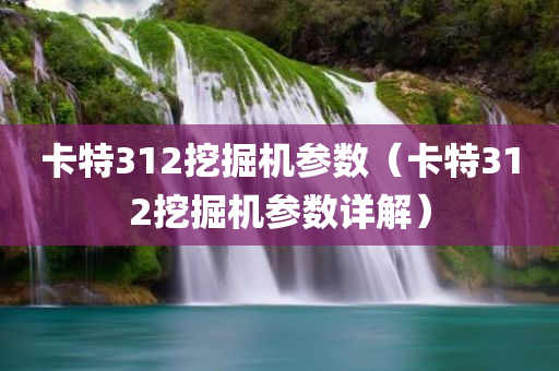 卡特312挖掘机参数（卡特312挖掘机参数详解）