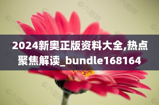 2024新奥正版资料大全,热点聚焦解读_bundle168164