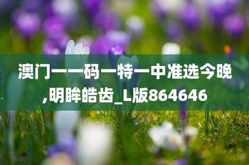 澳门一一码一特一中准选今晚,明眸皓齿_L版864646