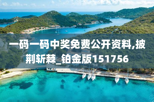 一码一码中奖免费公开资料,披荆斩棘_铂金版151756