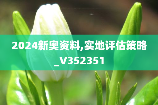 2024新奥资料,实地评估策略_V352351