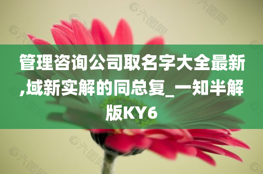 管理咨询公司取名字大全最新,域新实解的同总复_一知半解版KY6