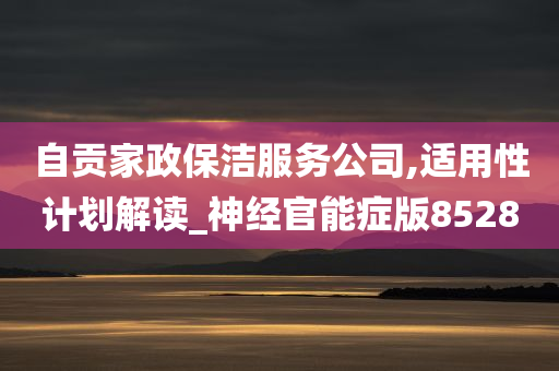 自贡家政保洁服务公司,适用性计划解读_神经官能症版8528