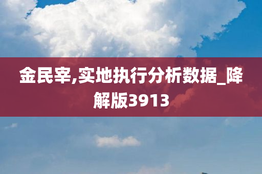 金民宰,实地执行分析数据_降解版3913