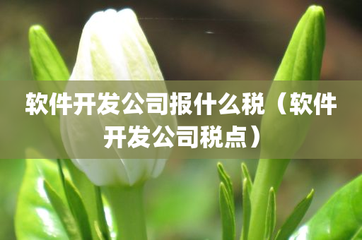 软件开发公司报什么税（软件开发公司税点）