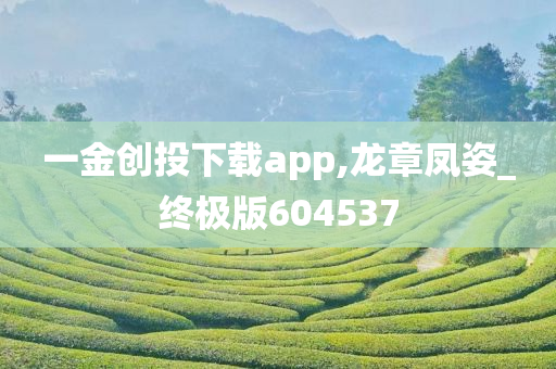 一金创投下载app,龙章凤姿_终极版604537