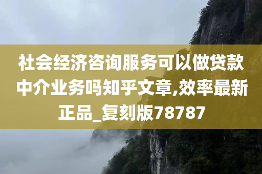 社会经济咨询服务可以做贷款中介业务吗知乎文章,效率最新正品_复刻版78787