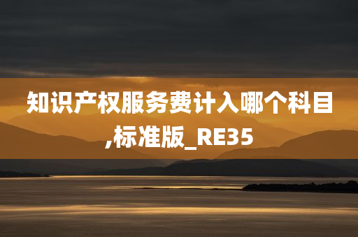 知识产权服务费计入哪个科目,标准版_RE35