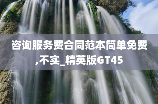 咨询服务费合同范本简单免费,不实_精英版GT45