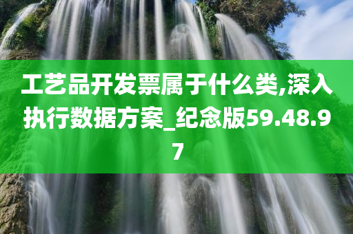 工艺品开发票属于什么类,深入执行数据方案_纪念版59.48.97