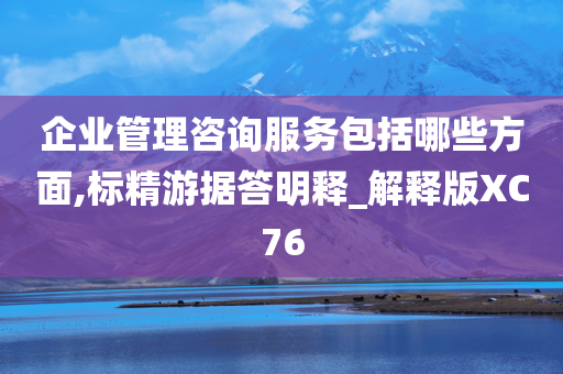 企业管理咨询服务包括哪些方面,标精游据答明释_解释版XC76