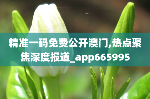 精准一码免费公开澳门,热点聚焦深度报道_app665995