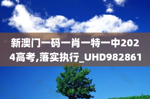 新澳门一码一肖一特一中2024高考,落实执行_UHD982861