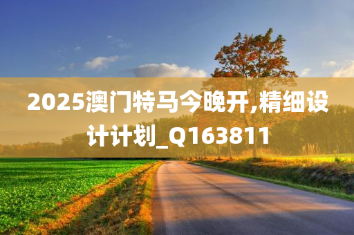 2025澳门特马今晚开,精细设计计划_Q163811