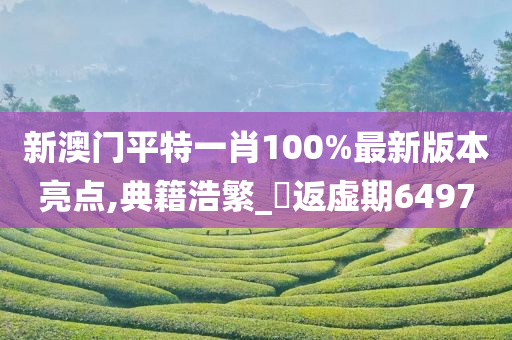 新澳门平特一肖100%最新版本亮点,典籍浩繁_‌返虚期6497