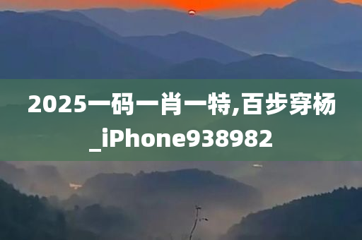 2025一码一肖一特,百步穿杨_iPhone938982