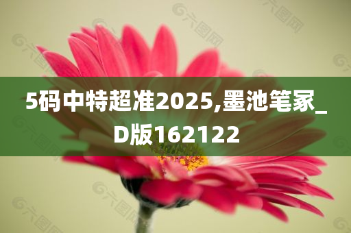 5码中特超准2025,墨池笔冢_D版162122