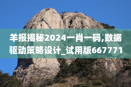 羊报揭秘2024一肖一码,数据驱动策略设计_试用版667771