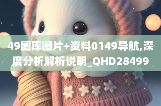 49图库图片+资料0149导航,深度分析解析说明_QHD284990