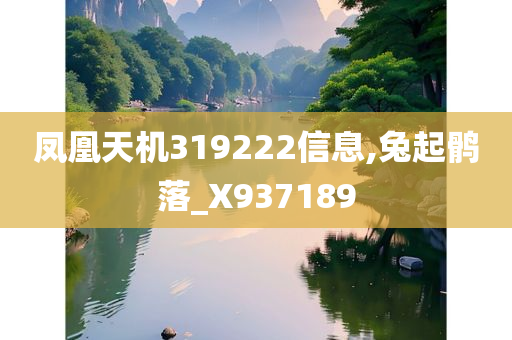 凤凰天机319222信息,兔起鹘落_X937189