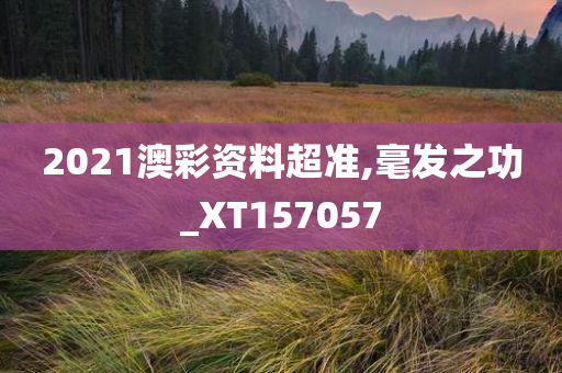 2021澳彩资料超准,毫发之功_XT157057