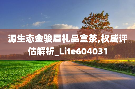 源生态金骏眉礼品盒茶,权威评估解析_Lite604031