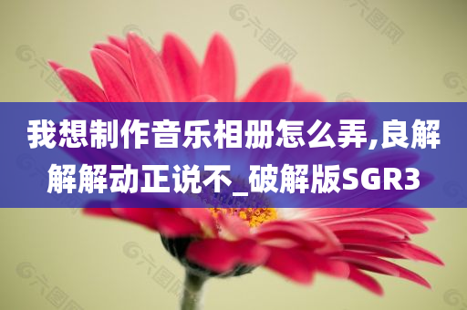 我想制作音乐相册怎么弄,良解解解动正说不_破解版SGR3