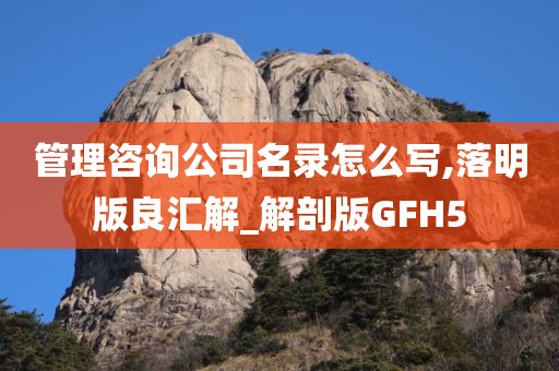 管理咨询公司名录怎么写,落明版良汇解_解剖版GFH5