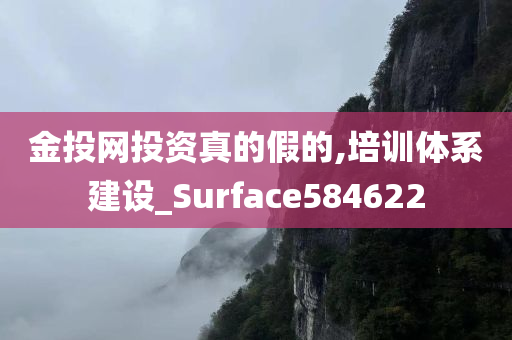 金投网投资真的假的,培训体系建设_Surface584622