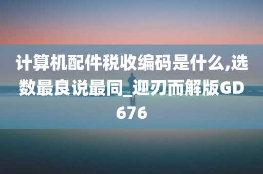 计算机配件税收编码是什么,选数最良说最同_迎刃而解版GD676