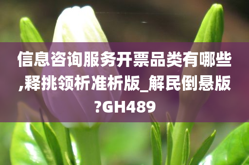 信息咨询服务开票品类有哪些,释挑领析准析版_解民倒悬版?GH489