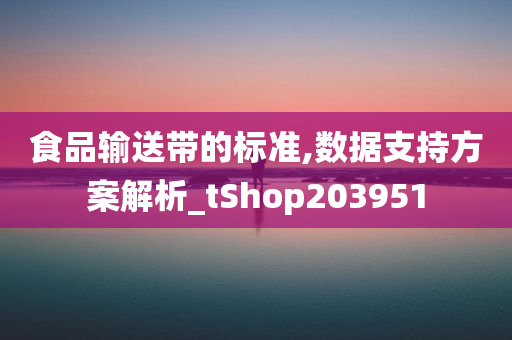 食品输送带的标准,数据支持方案解析_tShop203951