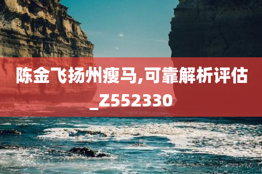 陈金飞扬州瘦马,可靠解析评估_Z552330