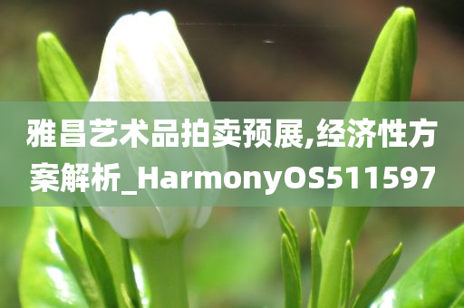 雅昌艺术品拍卖预展,经济性方案解析_HarmonyOS511597