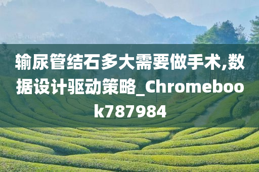 输尿管结石多大需要做手术,数据设计驱动策略_Chromebook787984