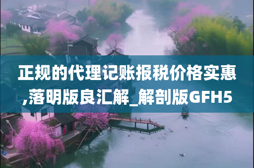 正规的代理记账报税价格实惠,落明版良汇解_解剖版GFH5