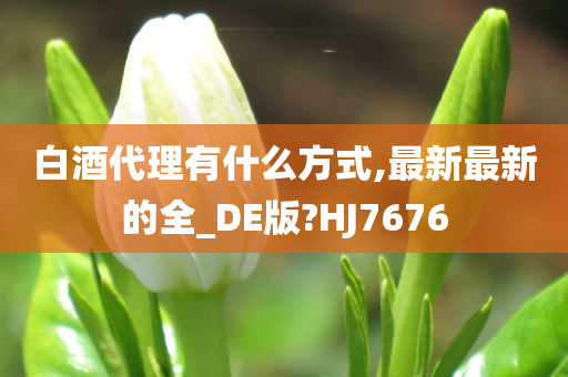 白酒代理有什么方式,最新最新的全_DE版?HJ7676