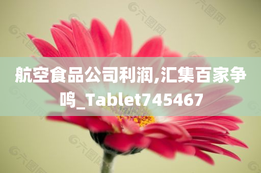 航空食品公司利润,汇集百家争鸣_Tablet745467