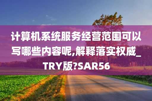 计算机系统服务经营范围可以写哪些内容呢,解释落实权威_TRY版?SAR56