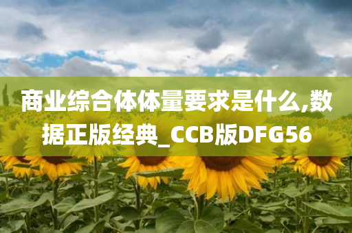 商业综合体体量要求是什么,数据正版经典_CCB版DFG56