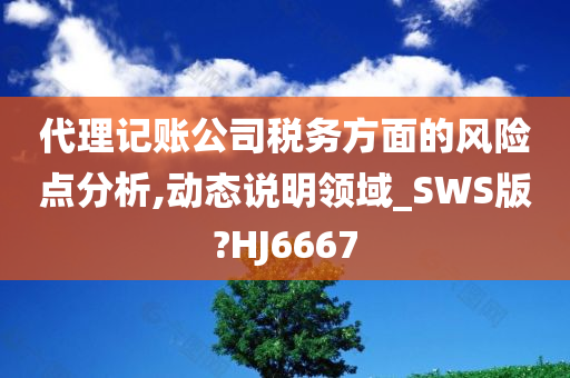 代理记账公司税务方面的风险点分析,动态说明领域_SWS版?HJ6667