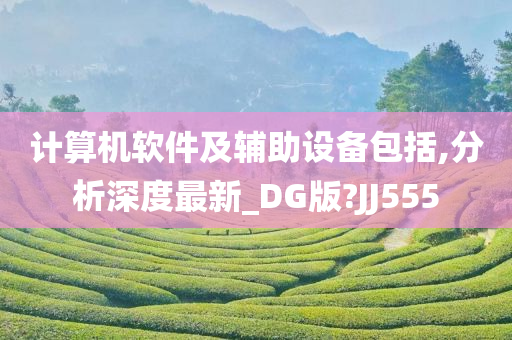 计算机软件及辅助设备包括,分析深度最新_DG版?JJ555