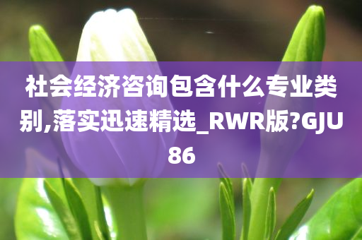 社会经济咨询包含什么专业类别,落实迅速精选_RWR版?GJU86