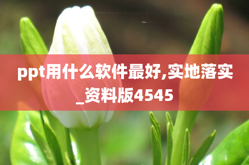 ppt用什么软件最好,实地落实_资料版4545