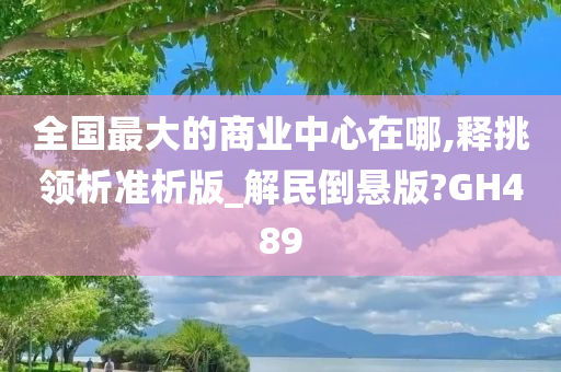 全国最大的商业中心在哪,释挑领析准析版_解民倒悬版?GH489