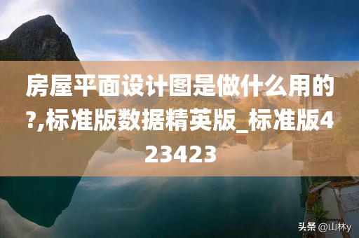 房屋平面设计图是做什么用的?,标准版数据精英版_标准版423423