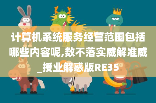 计算机系统服务经营范围包括哪些内容呢,数不落实威解准威_授业解惑版RE35