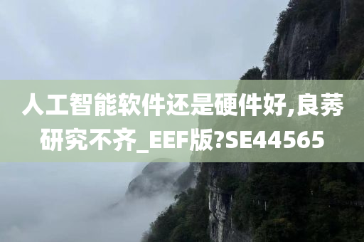 人工智能软件还是硬件好,良莠研究不齐_EEF版?SE44565